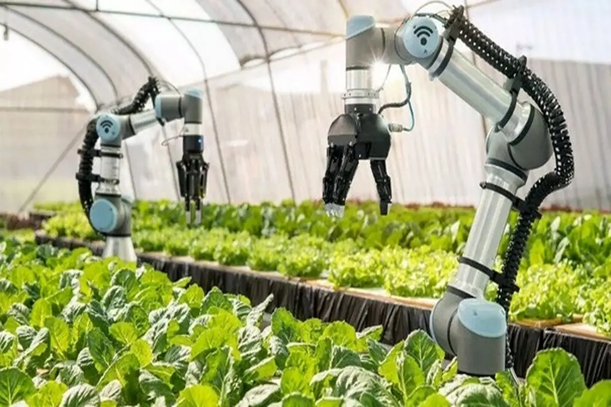 سرعت عمل باورنکردنی این ربات در کار کشاورزی را از دست ندهید+ فیلم