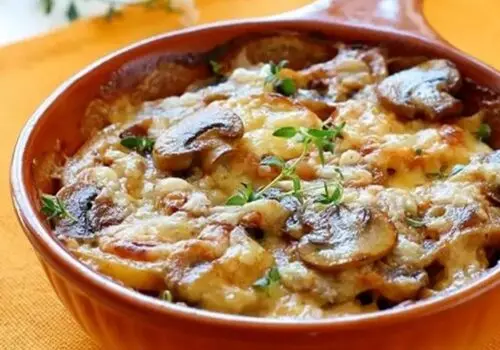 چگونه قارچ های سمی و غذا های کپک زده سلامت انسان را تهدید میکنند 