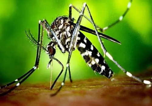 جزئیات معافیت سربازی افراد دارای سه فرزند 