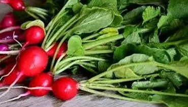  خواص و عوارض برگ تربچه