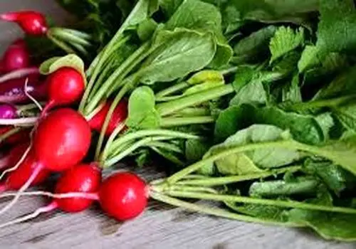 عوارض جدید در راه است/ شلوغ‌ترین آزادراه کشور پولی می شود