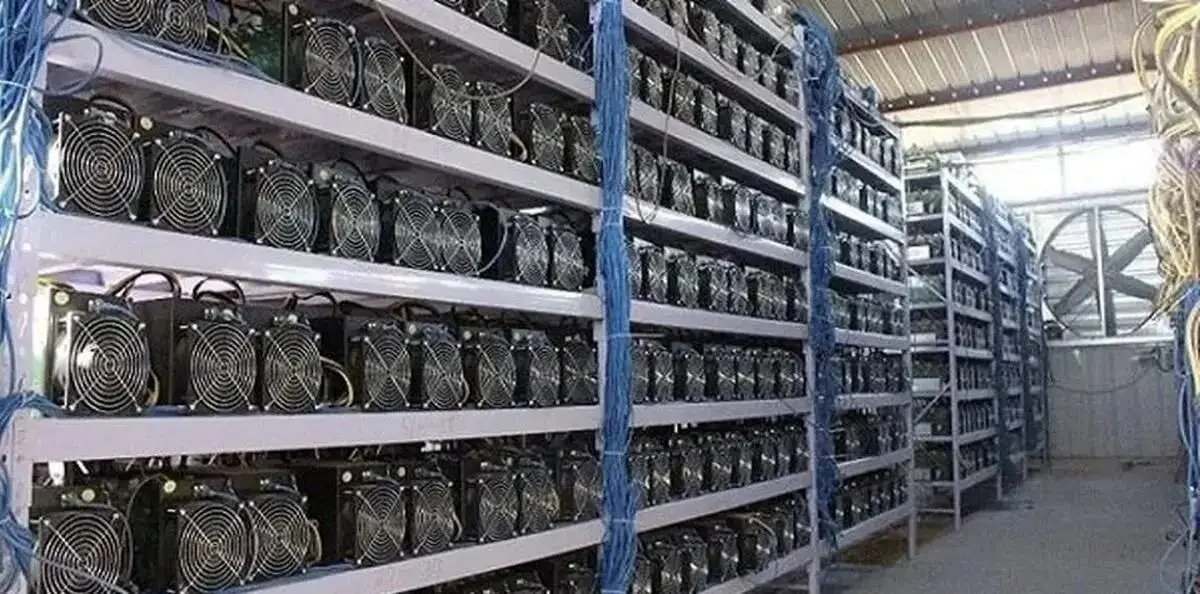 جایزه ۳۰۰ میلیونی وزارت اطلاعات برای معرفی این افراد