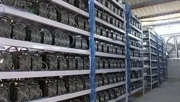 جایزه ۳۰۰ میلیونی وزارت اطلاعات برای معرفی این افراد