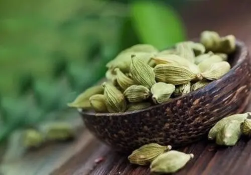 طراحی ربات‌های نانویی برای درمان سرطان توسط مخترفان سوئدی + فیلم