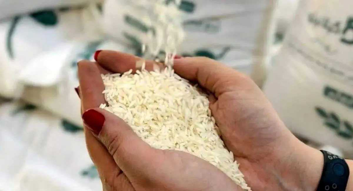 نوسان دوباره قیمت برنج هندی و پاکستانی در مهر ۱۴۰۴

