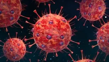 همه چیز درباره ویروس کرونای ۱۴۰۳ 