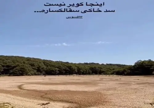 نصیحت جدید علی فروتن وایرال شد+ فیلم