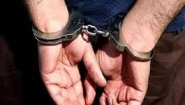 دستگیری جاسوس موساد حین فرار از مرز بانه