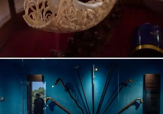 photo_3_2025-12-07_20-59-09