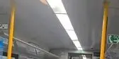 مهمان ناخوانده در قطار؛ خفاش پروازکنان وارد واگن شد و مسافران را فراری داد!+عکس