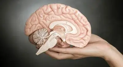 با این ۸ تمرین ذهنی، مغزتان را فعال و جوان نگه دارید