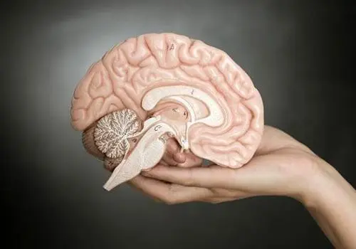 با این ۸ تمرین ذهنی، مغزتان را فعال و جوان نگه دارید