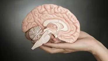 با این ۸ تمرین ذهنی، مغزتان را فعال و جوان نگه دارید
