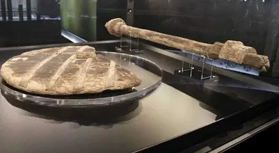 کهنترین ساختههای دست بشر ؛ از مرد شیری ۴۰ هزار ساله تا چرخ ۵ هزار ساله + عکس