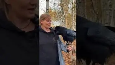 تقلید صدا و حرف زدن ترسناک کلاغ روس! + ویدئو