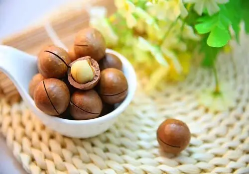 چگونه تو خونه سوپ فندق بپزیم؟!
