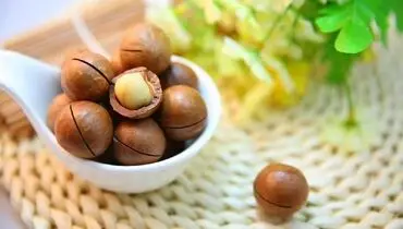 فواید مصرف فندق در بهبود کبد چرب