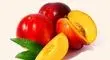 خاصیت بی نظیر شلیل برای سرماخوردگی و تقویت سیستم ایمنی
