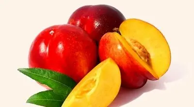 خاصیت بی نظیر شلیل برای سرماخوردگی و تقویت سیستم ایمنی
