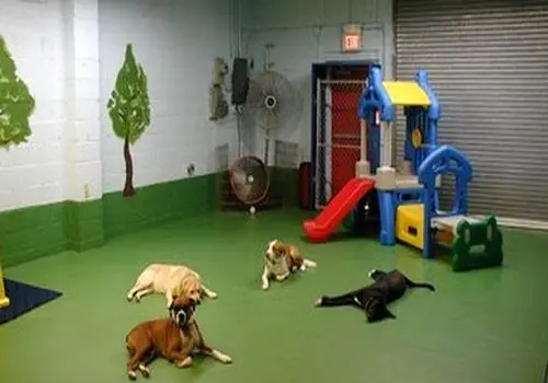 توضیح کافه لمیز تهران درباره لیوان‌های جنجالی 