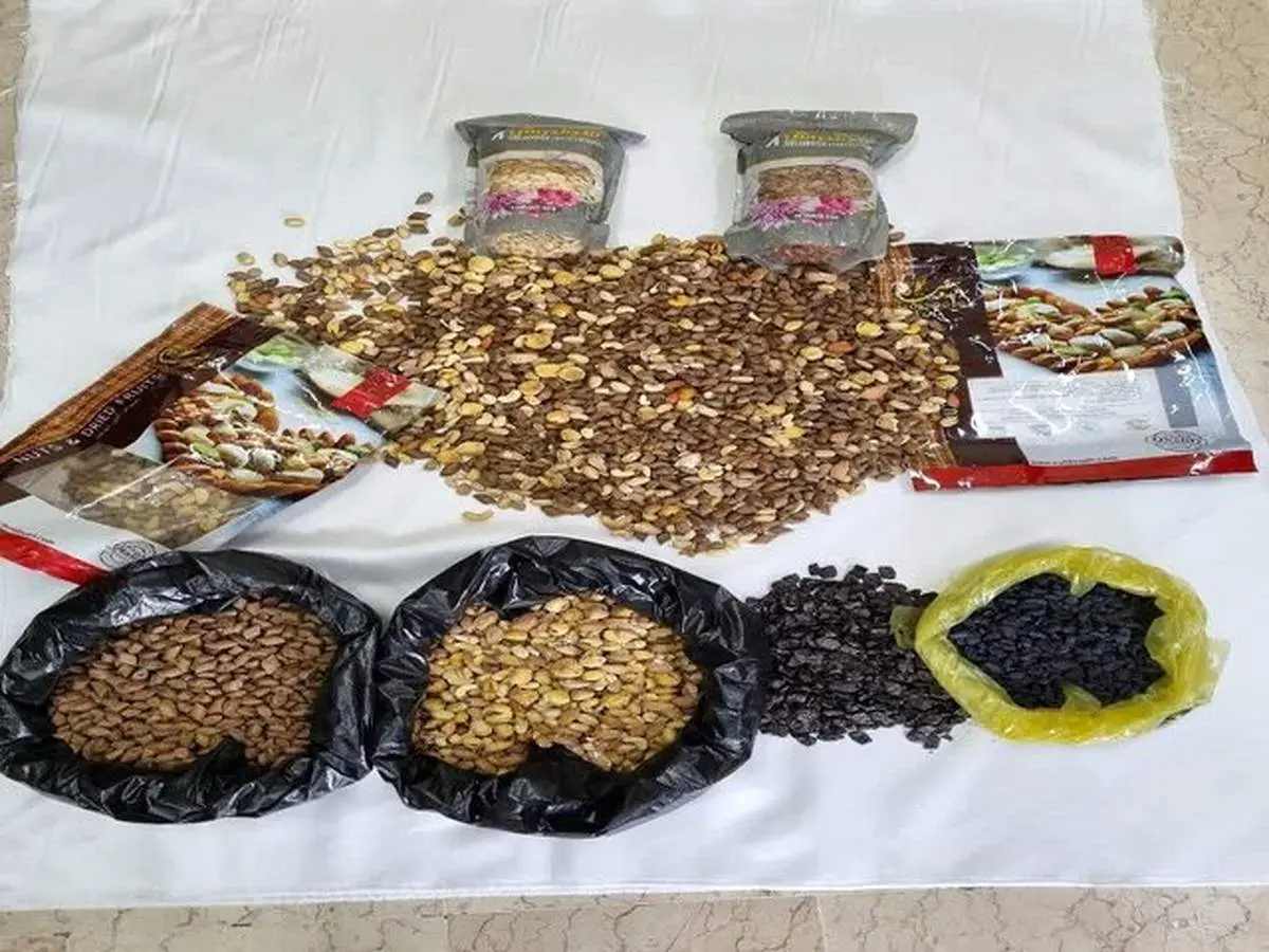 کشف تریاک در بستههای آجیل