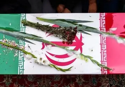 شهادت فرمانده یگان حفاظت سازمان منابع طبیعی