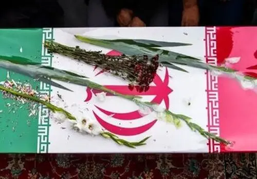 شهادت فرمانده یگان حفاظت سازمان منابع طبیعی