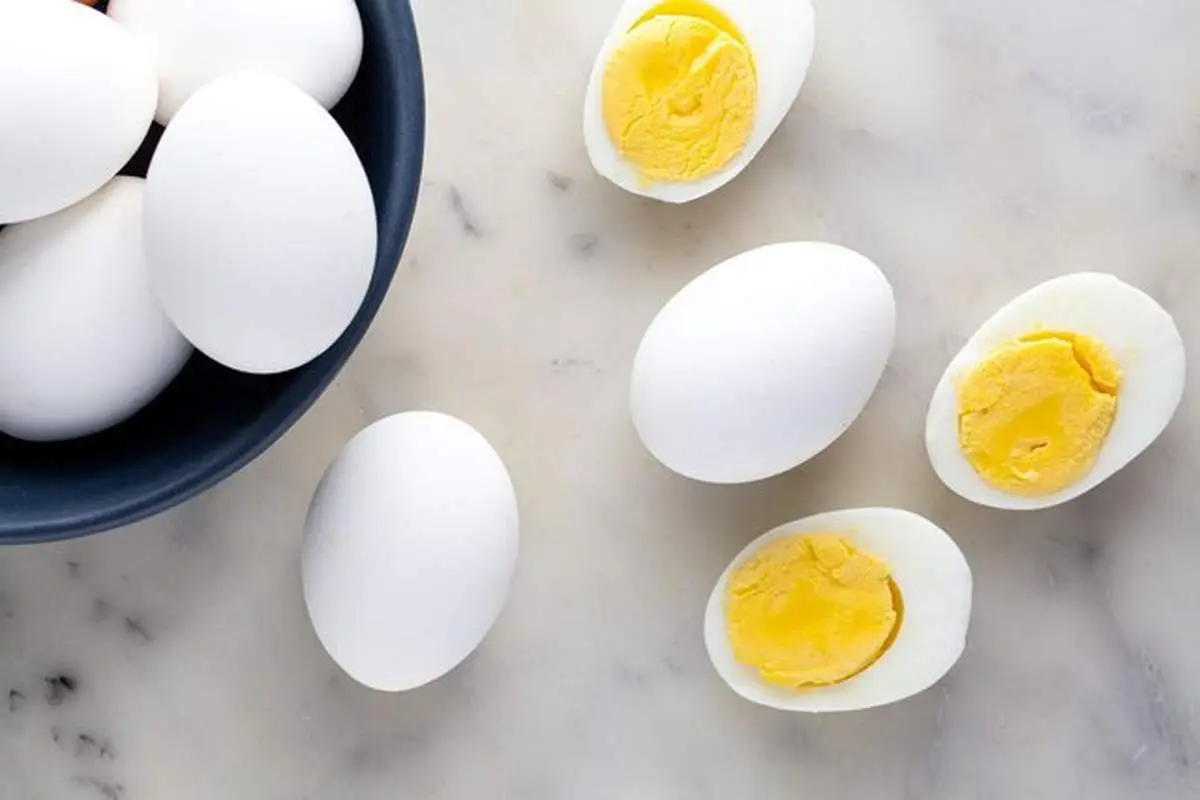 بهترین و کمهزینهترین پروتئین برای ورزشکاران!
