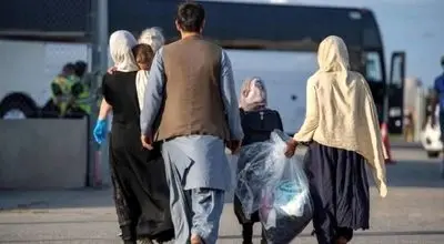 خروج ۸۰۰ هزار تبعه در ۹ ماه؛ ۷۰ درصد داوطلبانه کشور را ترک کردند