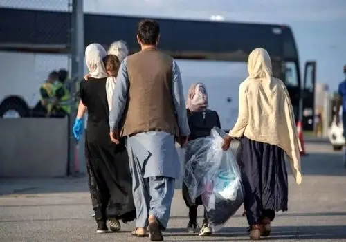 خروج ۸۰۰ هزار تبعه در ۹ ماه؛ ۷۰ درصد داوطلبانه کشور را ترک کردند
