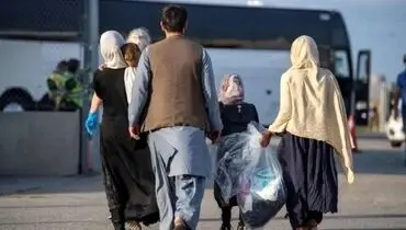 خروج ۸۰۰ هزار تبعه در ۹ ماه؛ ۷۰ درصد داوطلبانه کشور را ترک کردند