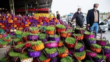 قیمت گل و سبزه برای هفت سین اعلام شد