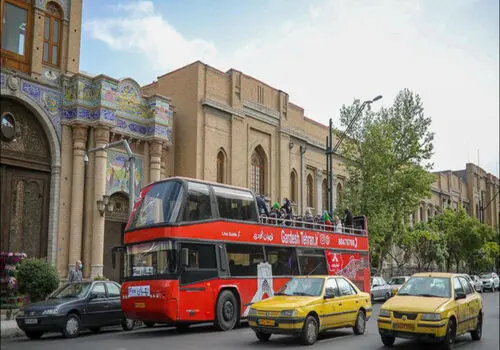 این دلفین مهمان گردشگران ایرانی شد