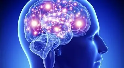 نجات در سه ساعت نخست؛ کلید بازگشت از سکته مغزی