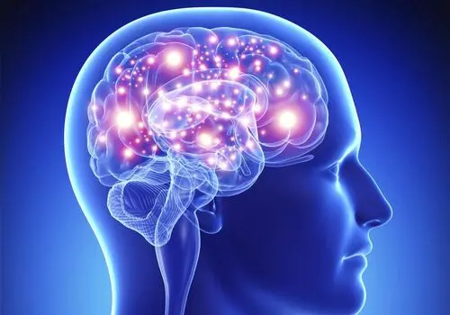 این چربی مغز شما را نابود می‌کند