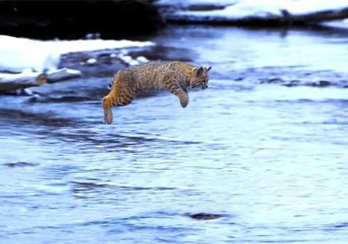 چگونه از تله‌ی استثنایی بودن خارج شویم؟
