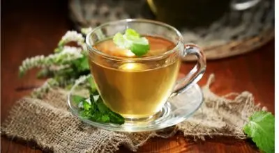 کاکوتی؛ گیاه دارویی خوش‌طعم با خواص ضد التهاب و آرام‌بخش