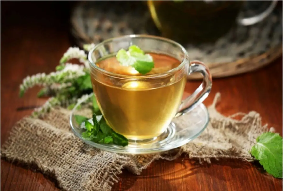 کاکوتی؛ گیاه دارویی خوشطعم با خواص ضد التهاب و آرامبخش