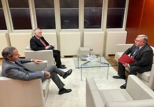 رایزنی اولیانوف با گروسی درباره ایران