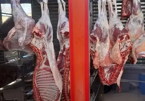 قیمت گوشت قرمز امروز شنبه ۱۰ مرداد ۱۴۰۵ +جدول