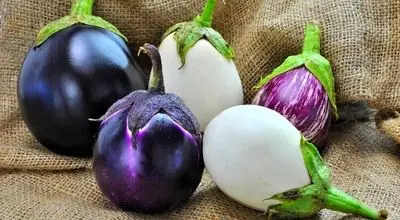 فواید باورنکردنی بادمجان برای کنترل قند خون
