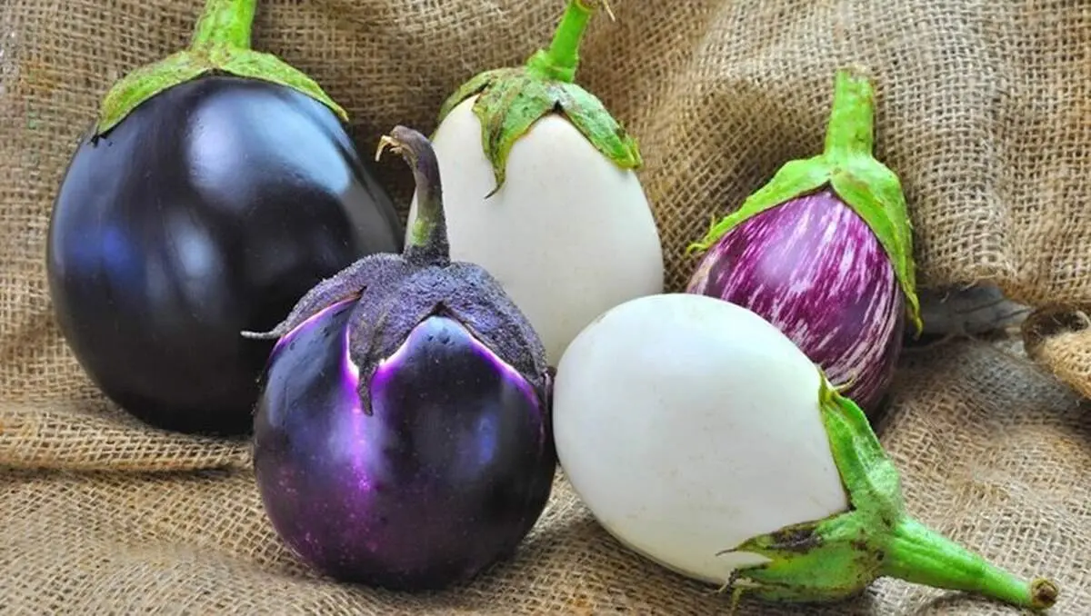 فواید باورنکردنی بادمجان برای کنترل قند خون
