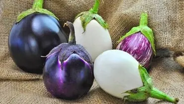 فواید باورنکردنی بادمجان برای کنترل قند خون
