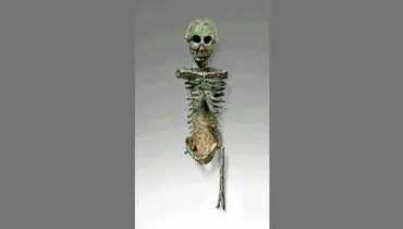 اسکلت ترسناکی که یادگار یک مهمانی در دوران روم باستان است + عکس
