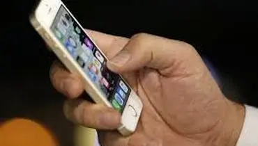 یک پیامک اشتباهی راز پرونده جنایی را لو داد+ فیلم