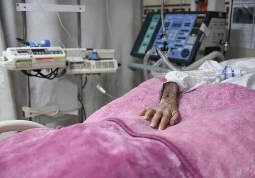 موزه کرج رکورد گینس را شکست