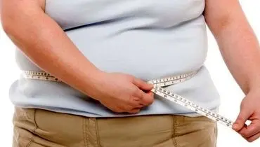 وقتی یک باکتری کوچک سد راه چاقی می‌شود