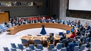 درخواست شورای امنیت برای همکاری با ایران در حادثه تروریستی کرمان