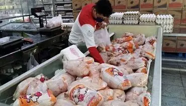 تازه‌ترین خبر از قیمت‌ها در بازار مرغ + جزئیات مهم 
