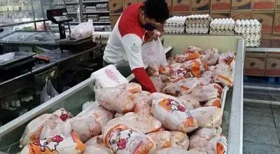 تازه‌ترین خبر از قیمت‌ها در بازار مرغ + جزئیات مهم 